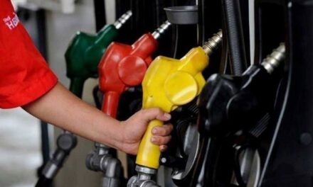 Expect oil prices to further go up until early 2022: DOE chief