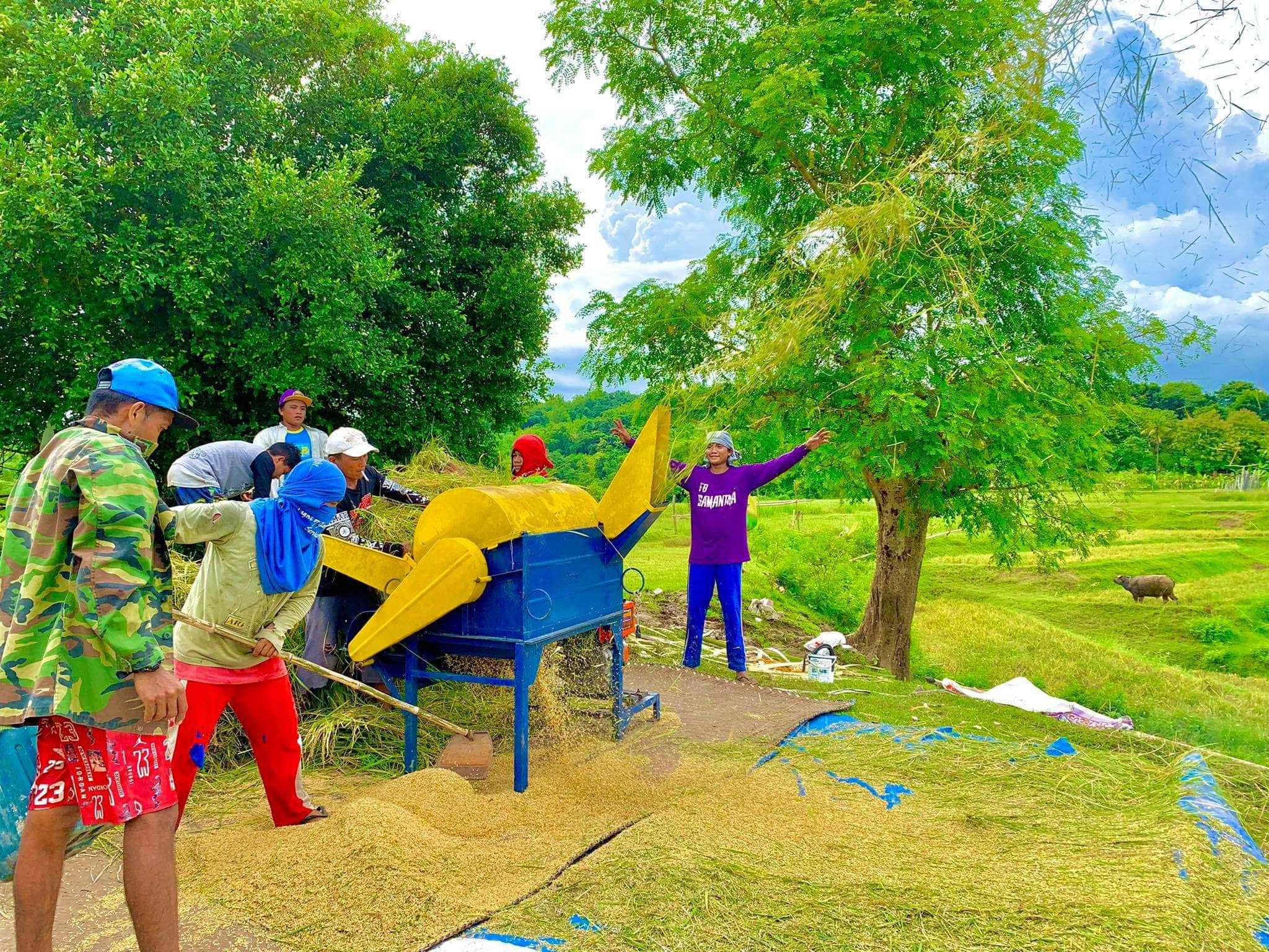 Agri sector seen to remain resilient with more financing boost