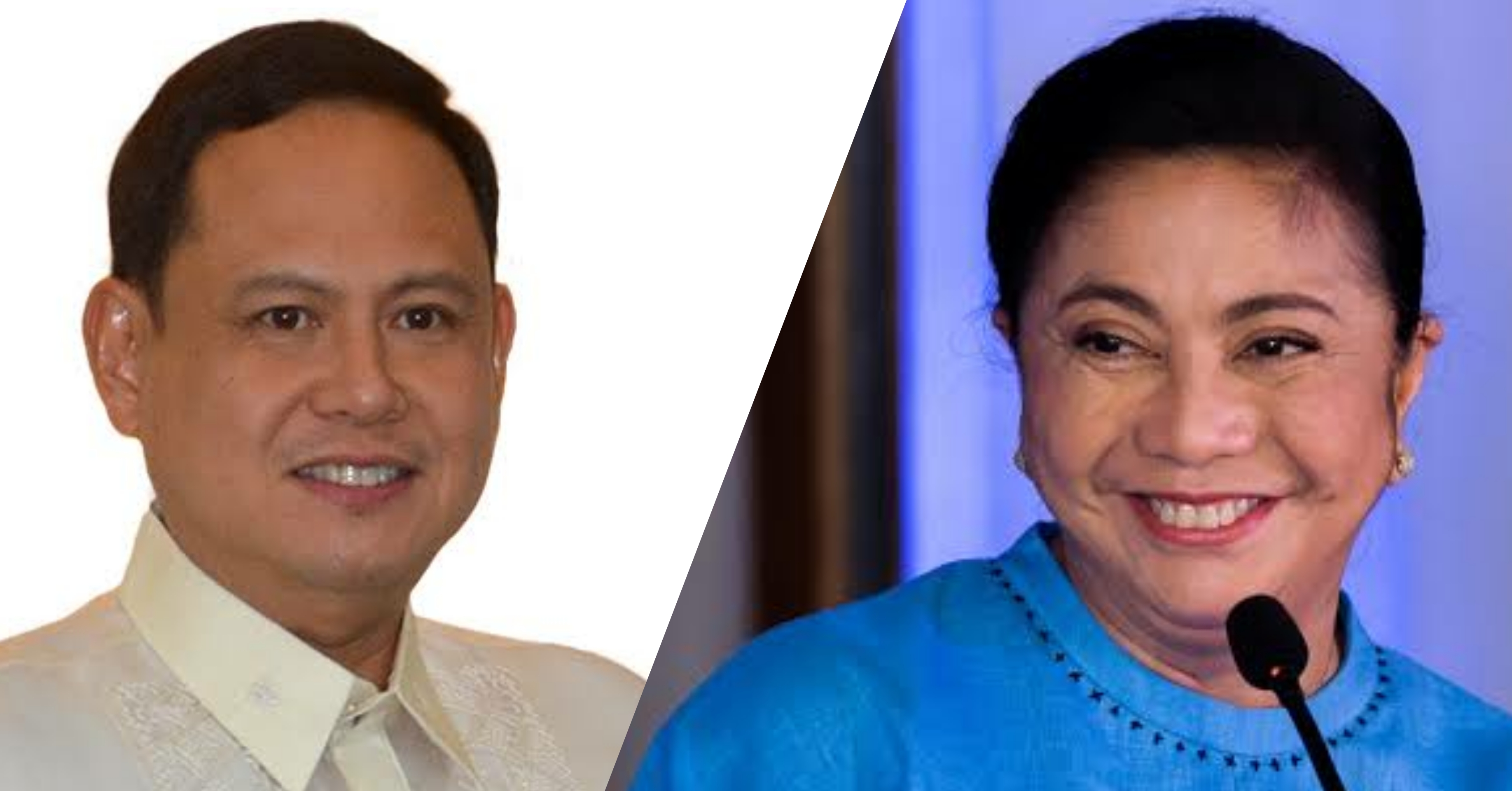 Iloilo governor supports presidential bid of Robredo