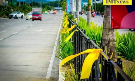 Palmares: Lakas-CMD considers Iloilo as yellow area