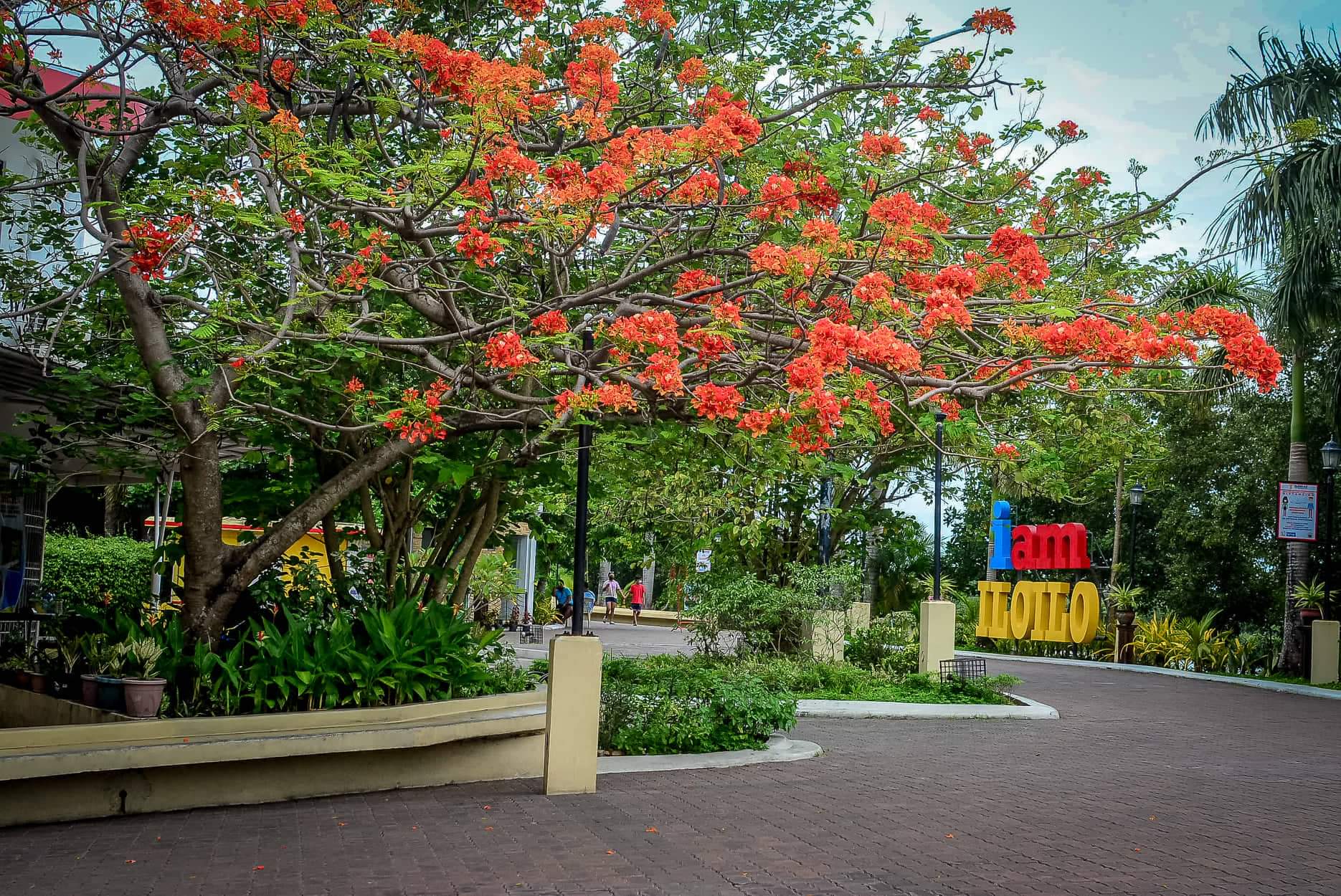 Sara: Davao City ‘always looks up’ to Iloilo City