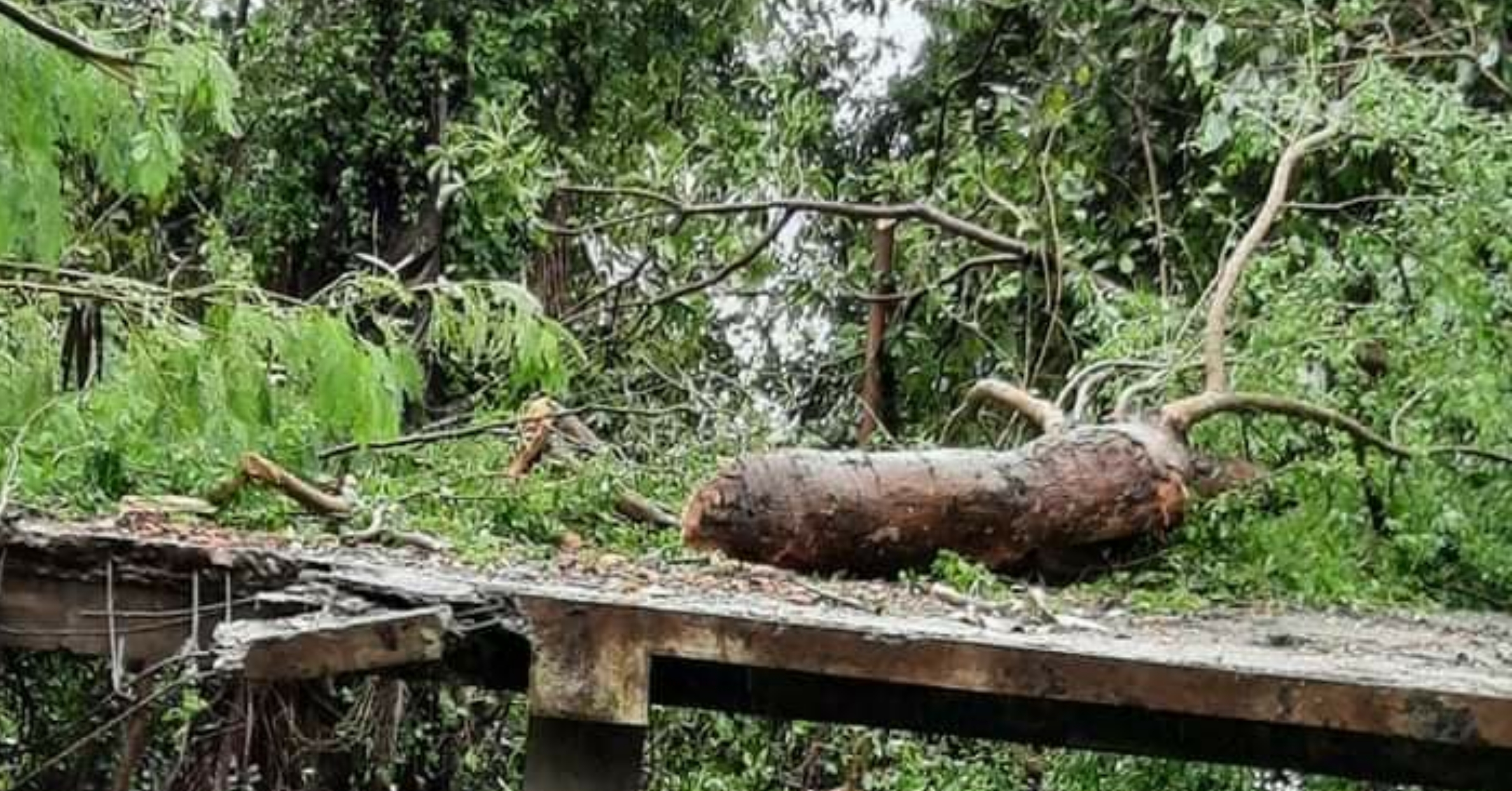 Mother, security guard died in Iloilo due to Odette