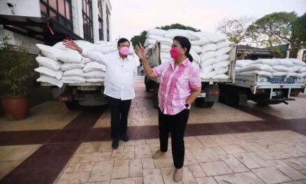 Robredo donates sacks of rice, canned goods, hygiene kits to Iloilo