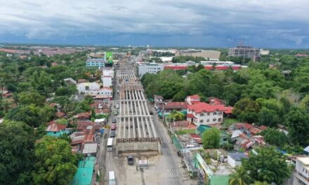 Construction of 2 Pavia flyovers to be completed this year