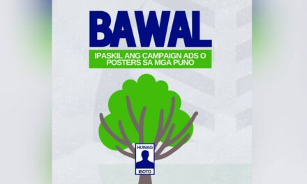 Candidates reminded to spare trees from campaign materials