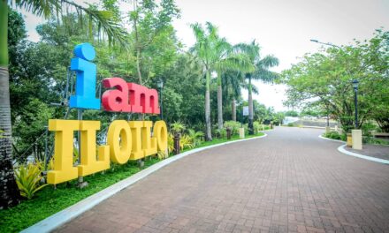 Treñas mulls scrapping S-PaSS requirement for Iloilo City-bound travelers