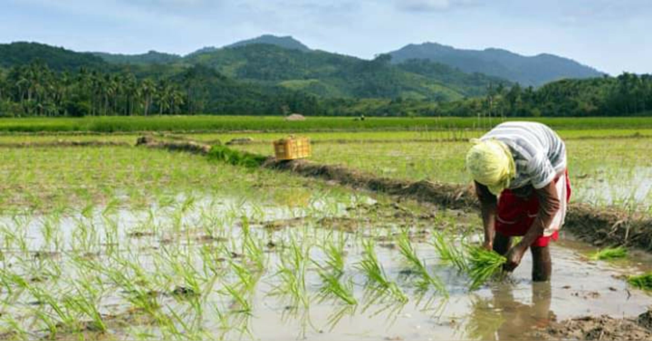 Lacson-Sotto tandem vows to prioritize agri sector