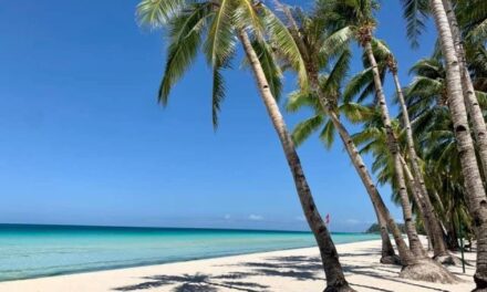 Boracay tourism industry slowly bounces back