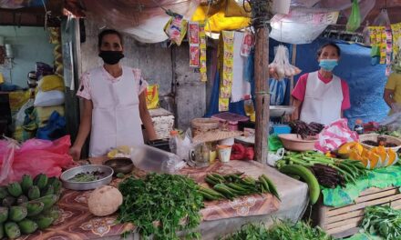 P81M collected from Iloilo City public markets, slaughterhouse