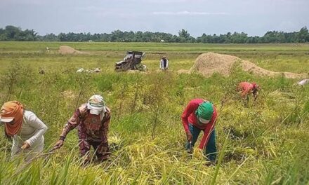 Release of fuel subsidy to farmers, fisherfolk pushed