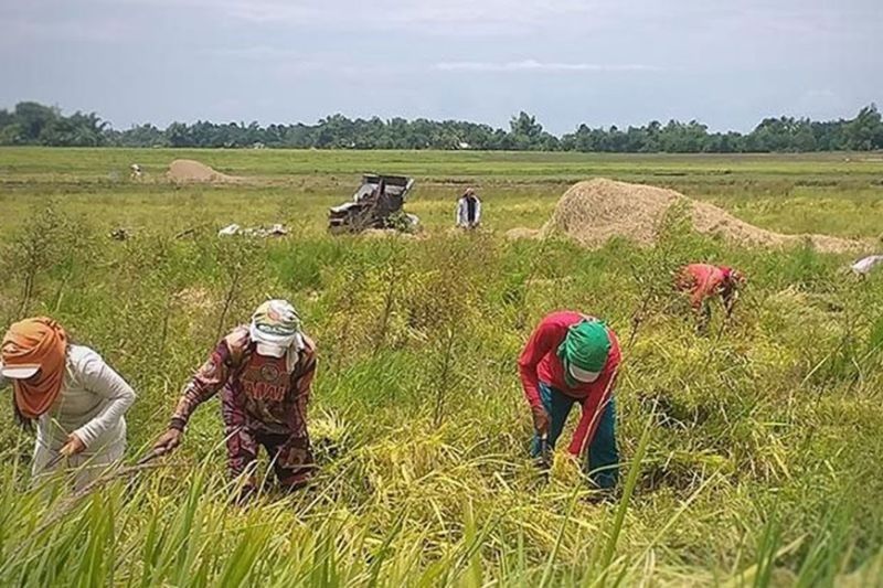 Release of fuel subsidy to farmers, fisherfolk pushed