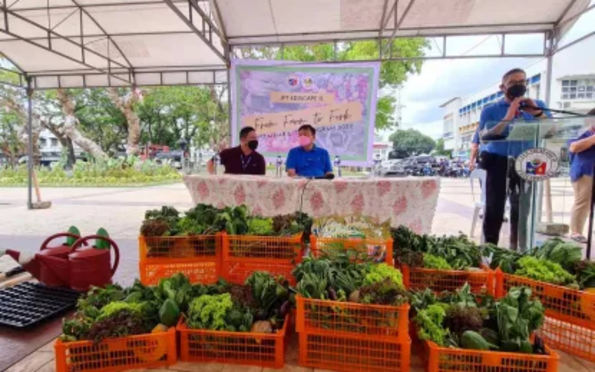 31 more Iloilo City villages to adopt urban gardening