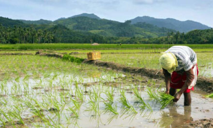 DA-registered farmers, fisherfolk priorities in fuel subsidy