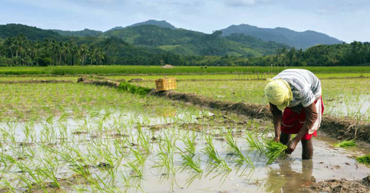 DA-registered farmers, fisherfolk priorities in fuel subsidy