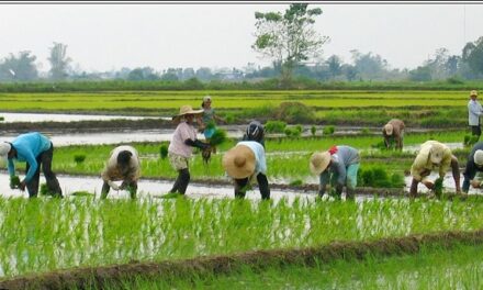 Fuel subsidy for agri sector to start March 17