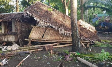 Western Visayas needs P18-B investment to recover from ‘Odette’