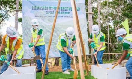 NIA starts P875-M irrigation project in Guimaras