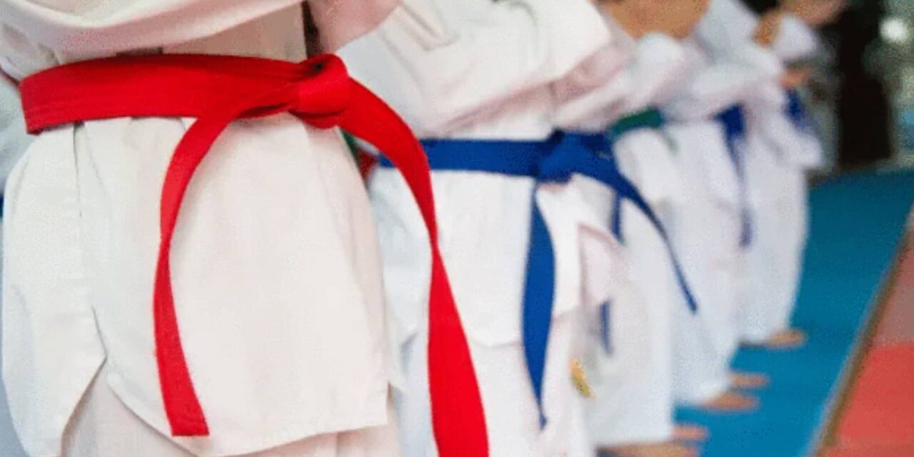 Iloilo MVP gym harvests medals in 2022 PTA Online tourney