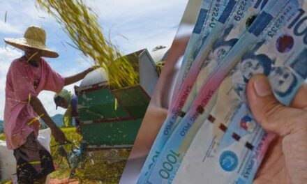 40K farmers in WV to get P10K cash subsidy
