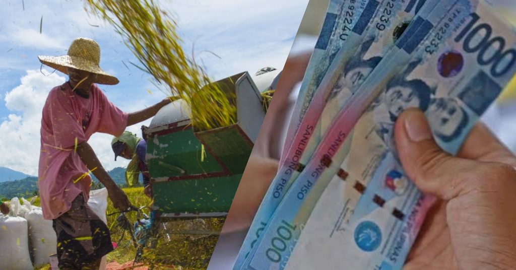 40K farmers in WV to get P10K cash subsidy