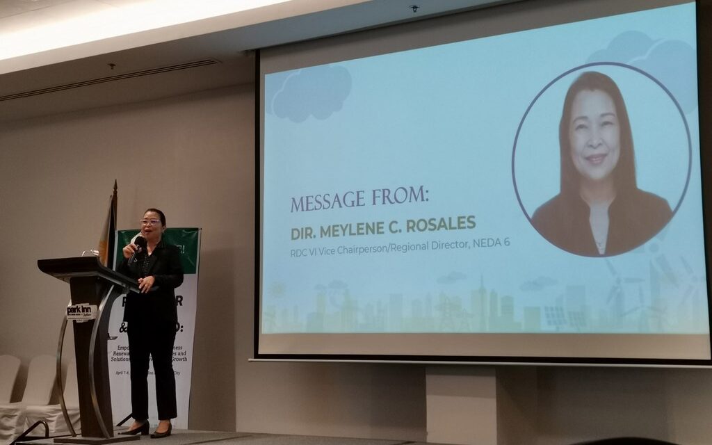 RDC-6 pushes for renewable energy in Western Visayas