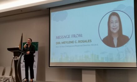 RDC-6 pushes for renewable energy in Western Visayas