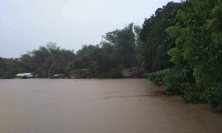 Agaton kills 1, leaves 2 missing in Sara, Iloilo