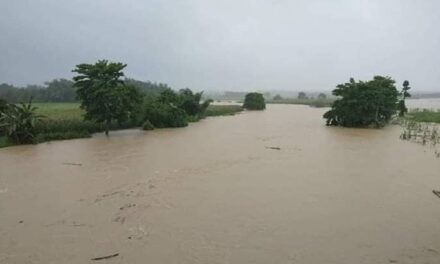 Agaton damage to WV agri hits P111M