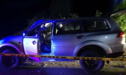 IPPO respects decision to junk murder complaint vs Lopezes