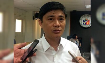 Nava is lone opposition in Iloilo City Council
