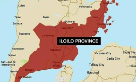 Illegal drug trade in Iloilo slows down — IPPO