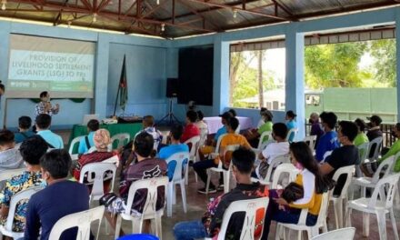 Livelihood for Iloilo ex-rebels up before end of June