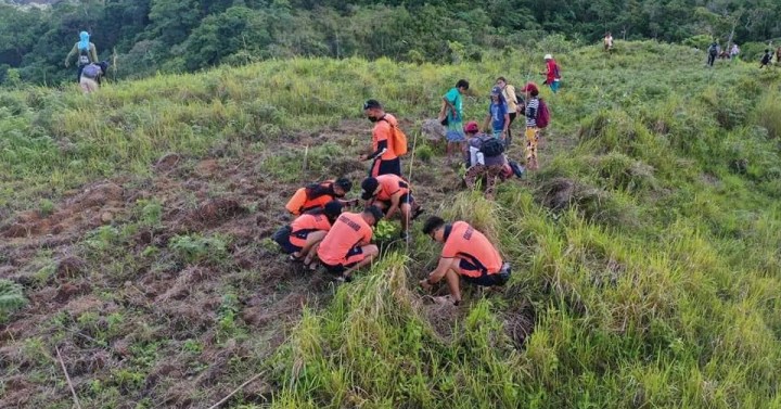 Antique aims to restore vegetation in tourist sites