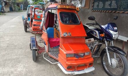 Over 59K tricycle drivers in WV to get fuel subsidy