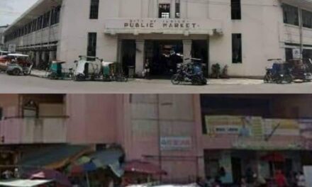 Proposal for redev’t of 2 Iloilo City markets now up for Swiss challenge
