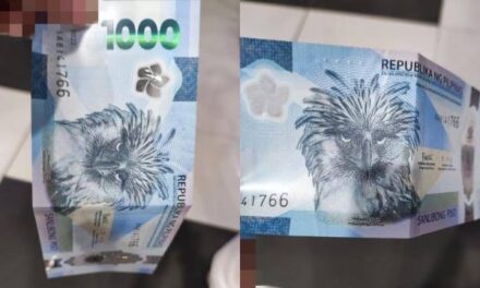 Folded banknotes can be accepted for payments: BSP