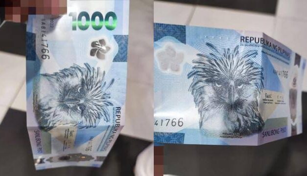 Folded banknotes can be accepted for payments: BSP