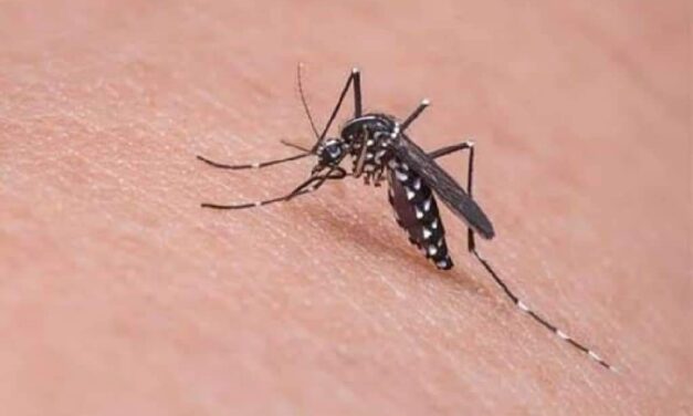 Treñas seeks coordinated effort vs dengue