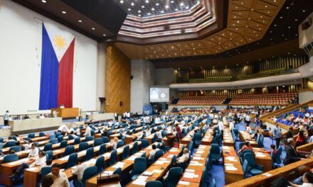 Fixed salaries for barangay officials pushed