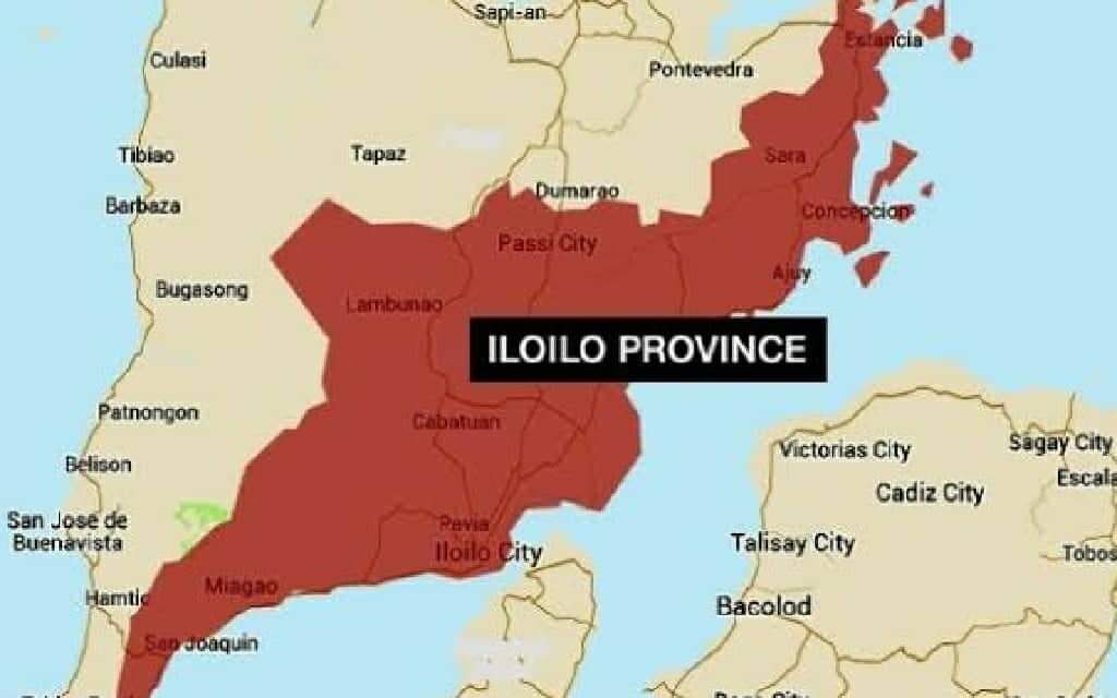 Dengue kills 11, downs over 1K in Iloilo province