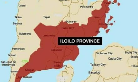 Dengue kills 11, downs over 1K in Iloilo province