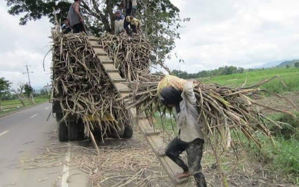 Sugar shortage worries local legislators; Panay sugar mills urged to open early for next milling season