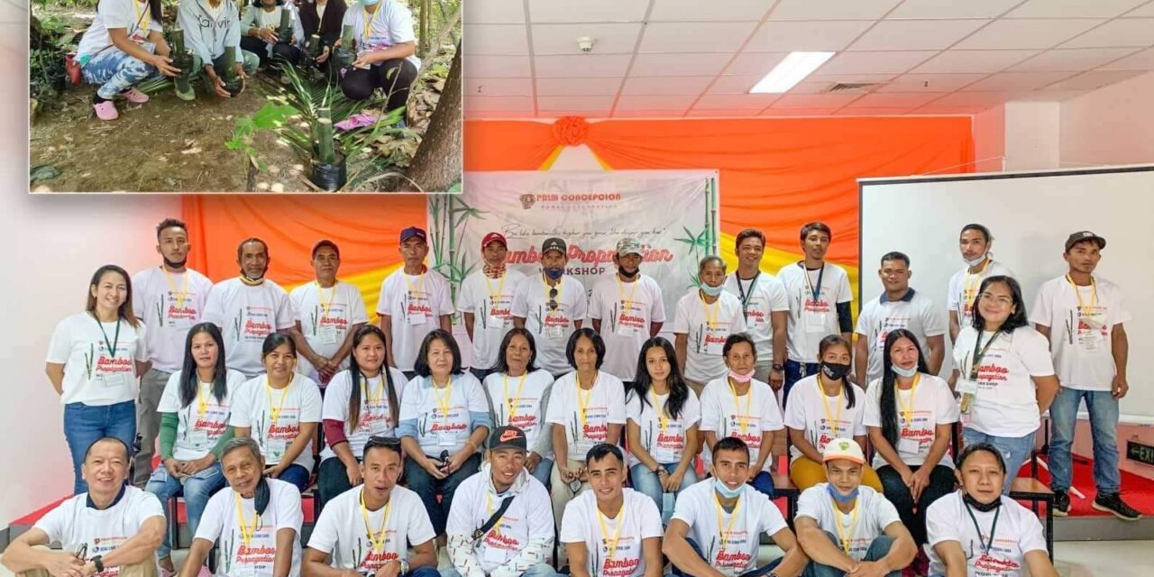 Concepcion people’s org members undergo bamboo propagation training