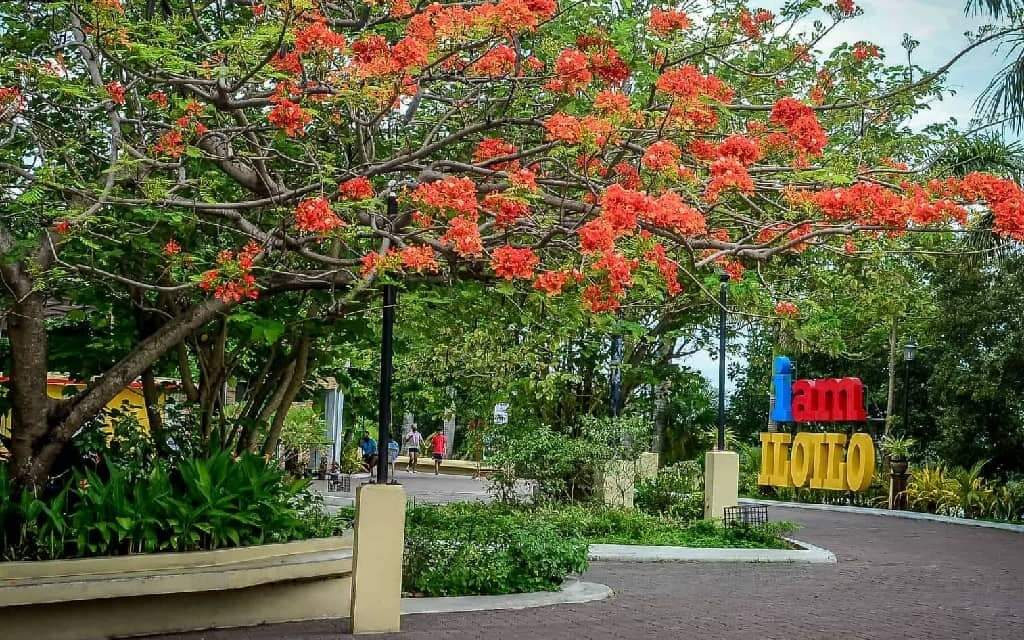 Iloilo stays under lowest COVID-19 alert level