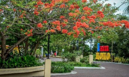 Iloilo stays under lowest COVID-19 alert level