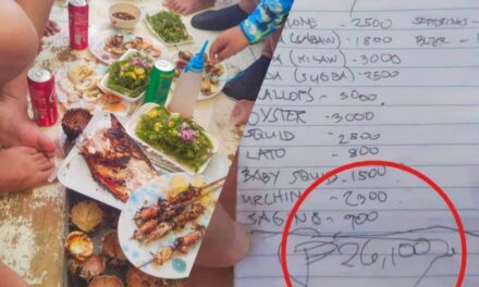 DOT, Bohol probe ‘overpriced’ seafood in Virgin Island