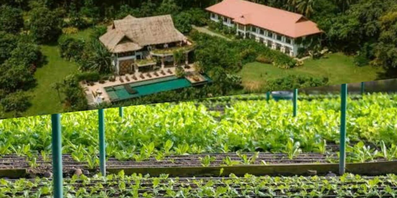 2 Iloilo farm destinations to be featured in DOT’s new digital campaign