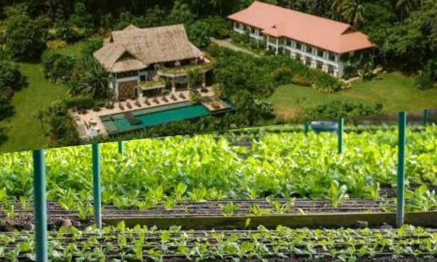 2 Iloilo farm destinations to be featured in DOT’s new digital campaign