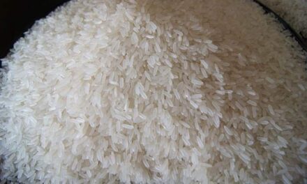 ‘Unfounded report’: BOC-6 denies entry of smuggled rice in Iloilo City