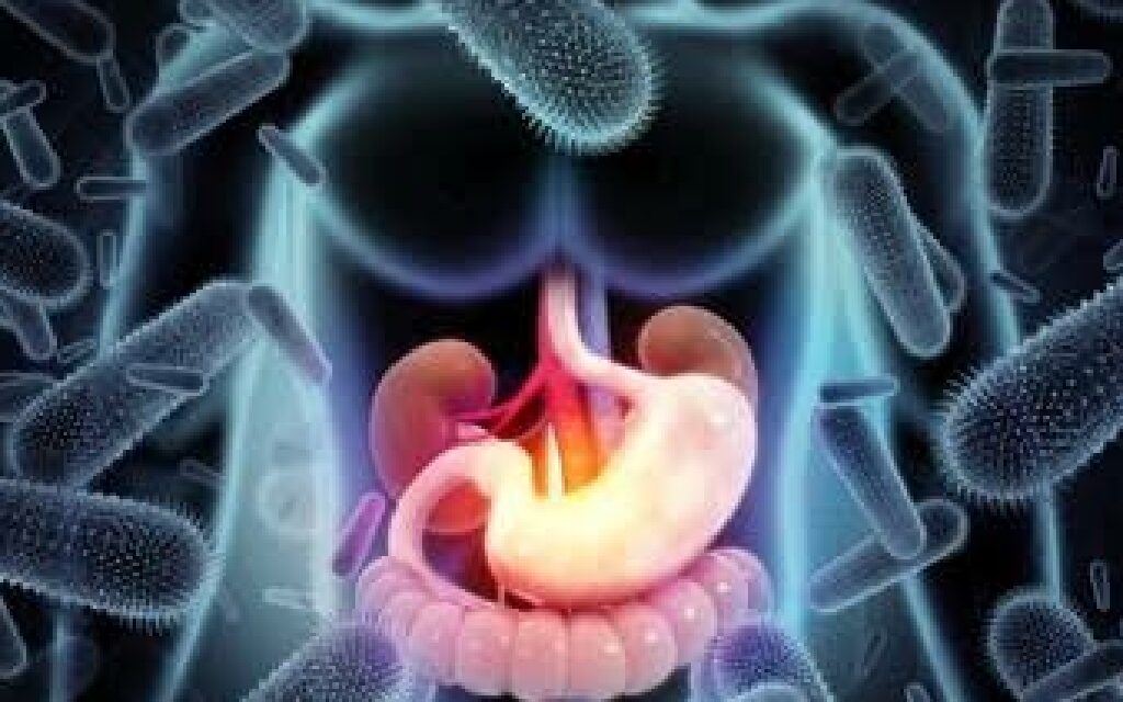 4 die due to acute gastroenteritis in Iloilo City